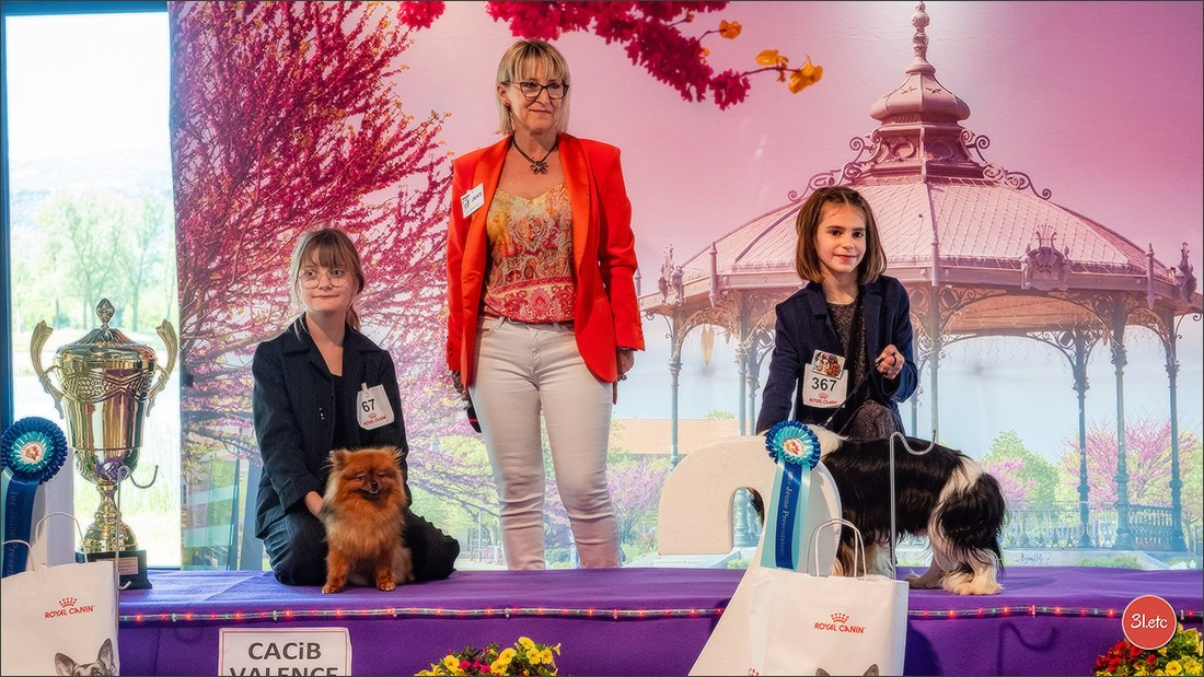 Expo canine 🇫🇷 Valence 03-04/05/2025. Photographe à Strasbourg | Portraits, Studio, Enfants, Événements