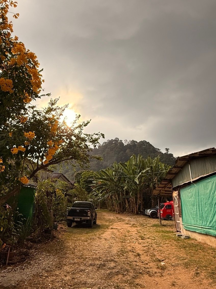 Phuket_2024/2025. Photographer, photo artist Alena Novgorodtseva