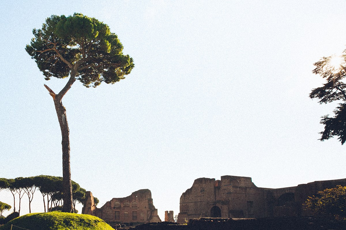 Италия. Портретный фотограф Алена Новгородцева