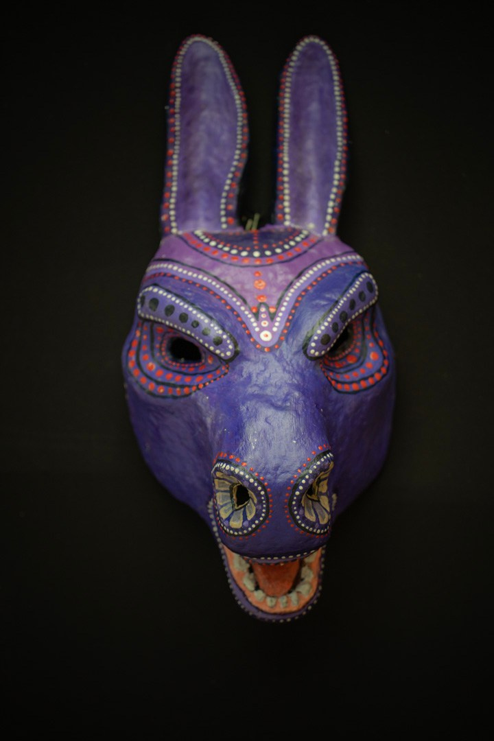 Krishna Janmashtami. Samid Ali