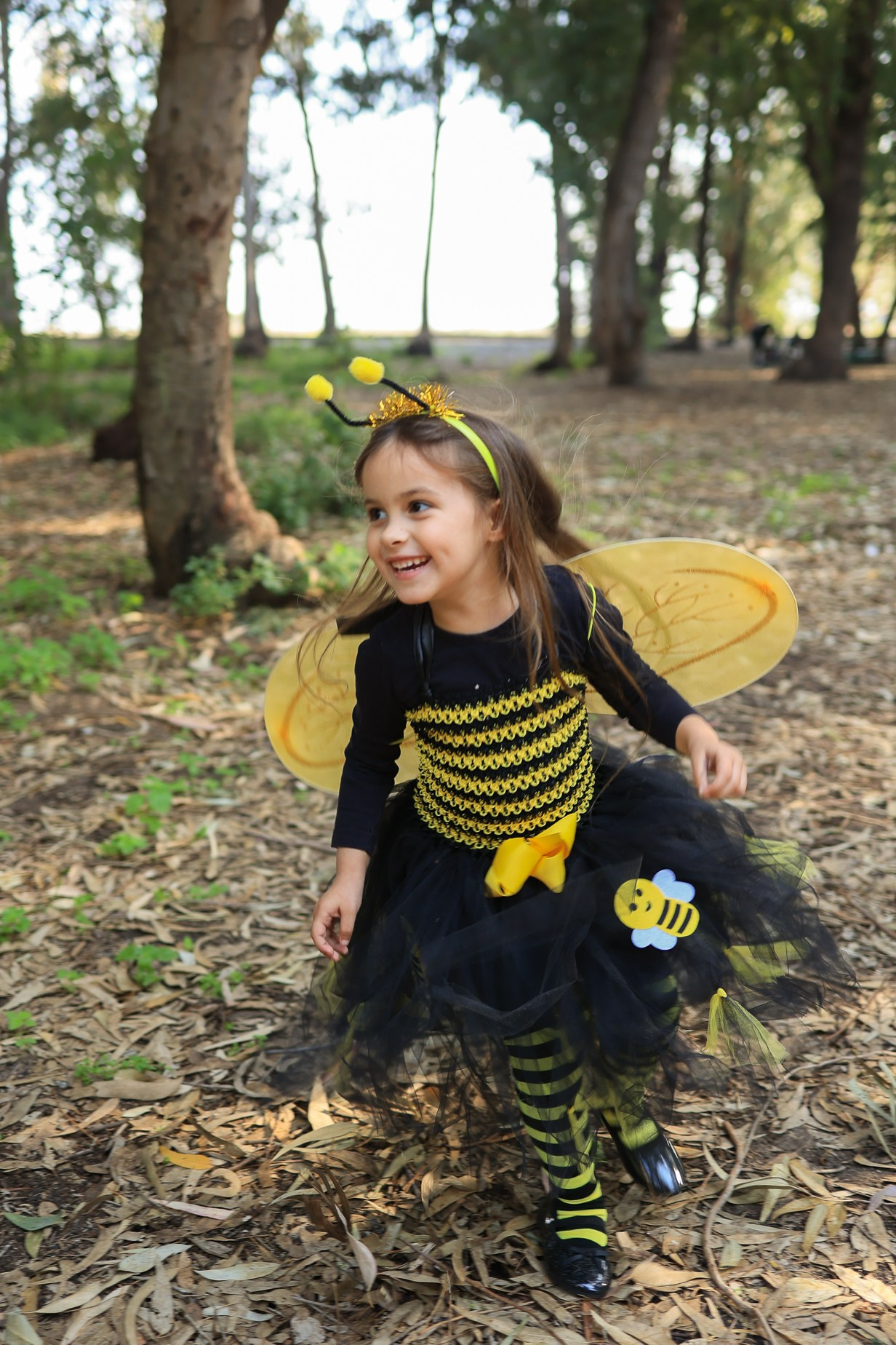 צילומי פורים בטבע. דף בית