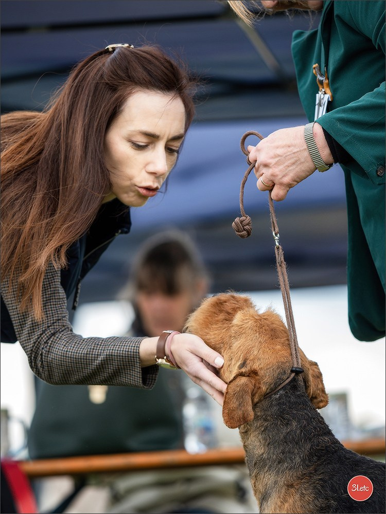 Dog Show Rieden 🇩🇪 16-18/05/2025. Photographe à Strasbourg | Portraits, Studio, Enfants, Événements