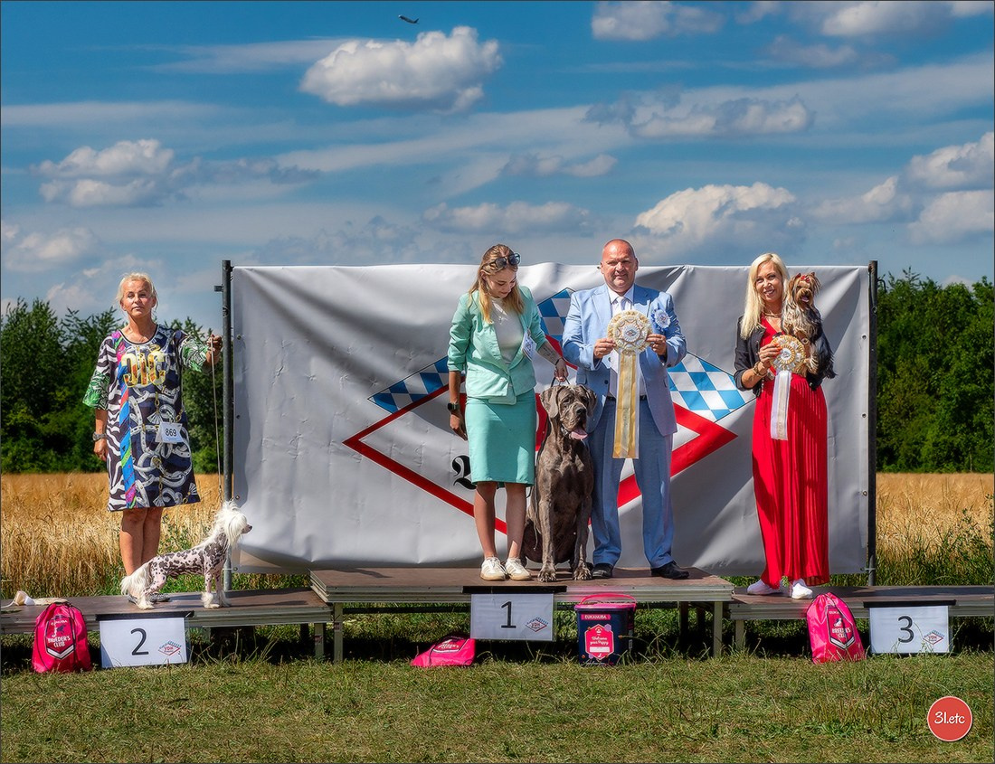 Dog Show Hallbergmoos  🇩🇪  11-13/07/2025. Photographe à Strasbourg | Portraits, Studio, Enfants, Événements
