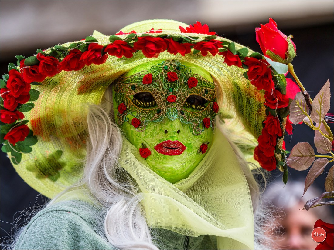 Carnaval venitien de Rosheim 2024. Photographe à Strasbourg | Portraits, Studio, Enfants, Événements