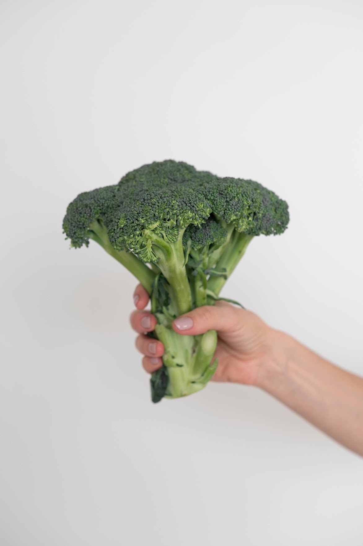 Диетолог фотосессия необычная зеленая. Фотограф в Калининграде Анна Пошкус