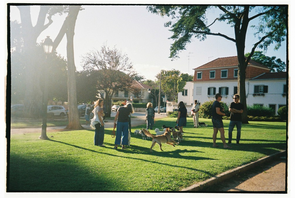 Street — Lisbon Through My Lens. Valery — Film and digital Photographer. Conceptual, Portrait & Brand Photography. Authentic, Identity Focused Storytelling. Lisbon, Portugal