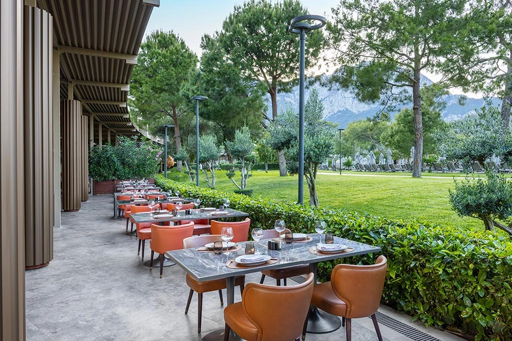 NG PHASELIS BAY. Lero Photographer and a set designer|individual custom portrait and advertising photography in Zutphen