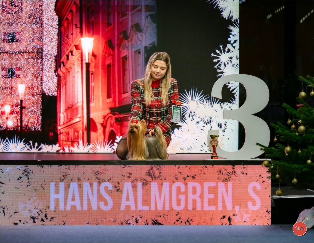 Dog Show WELS   🇦🇹  06-07/12/2025. Photographe à Strasbourg | Portraits, Studio, Enfants, Événements