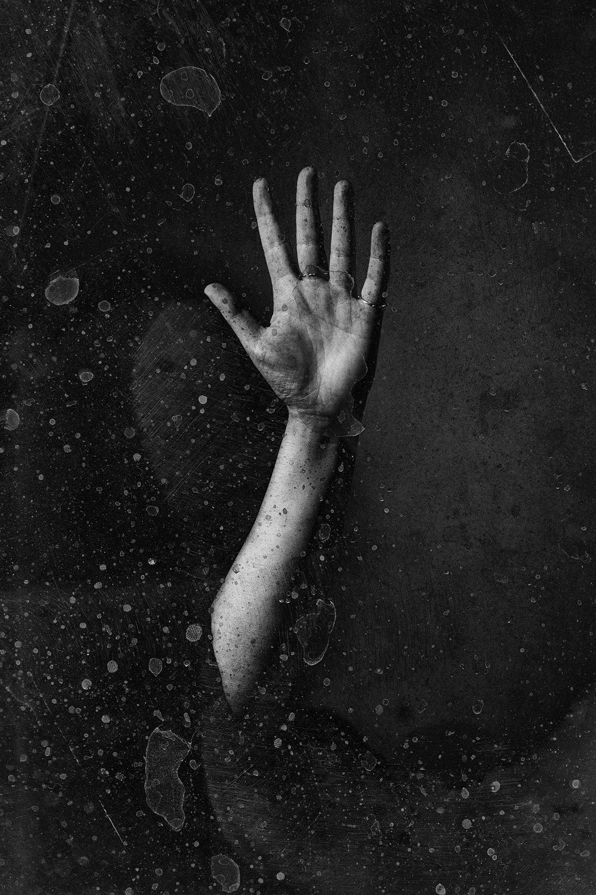 Portraits. Jana Gertz