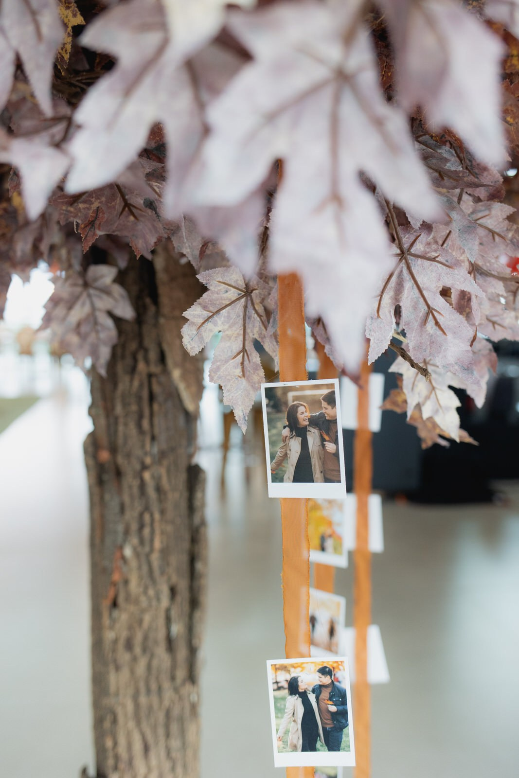 Juliana e Felipe. Fabio Barth | Foto e Filme de casamento