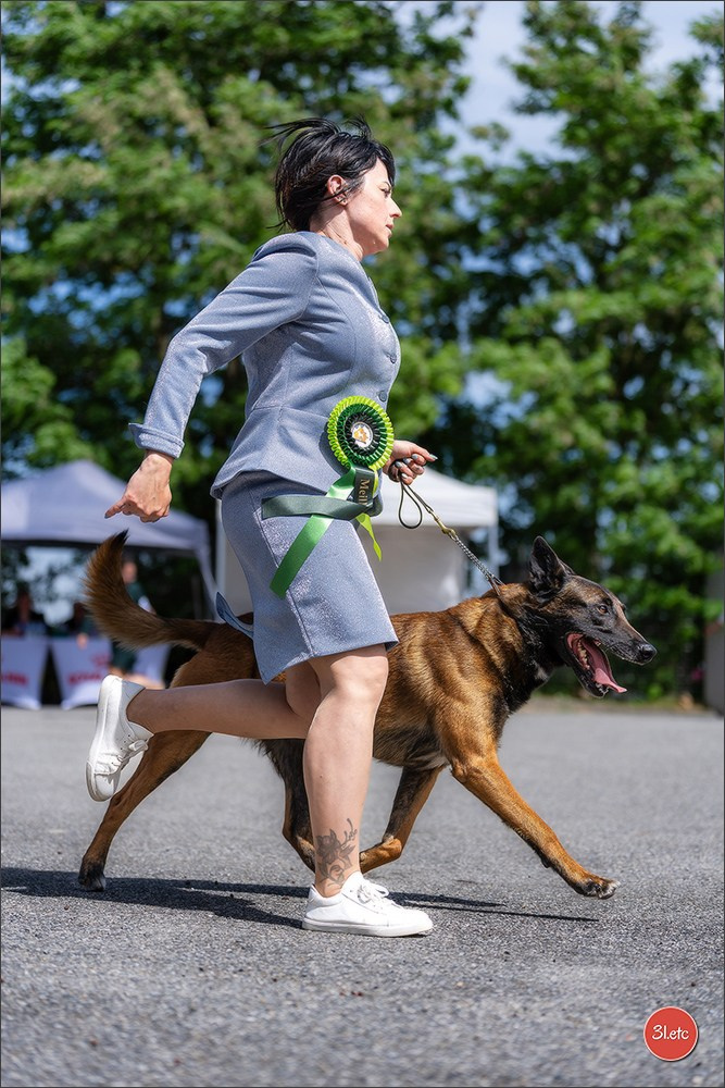 Expo canine 🇫🇷 Valence 02-03/05/2026