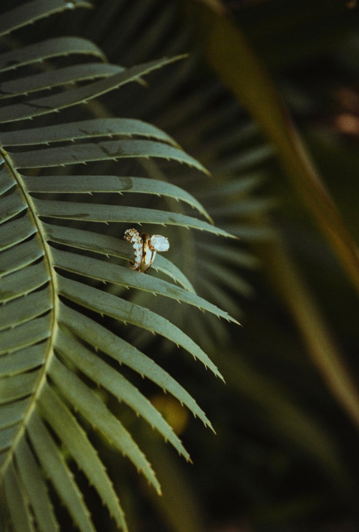 WEDDİNG  EVENT İN BODRUM. Eliana Plotskaya — Wedding Planner & Photographer in Bodrum and Istanbul