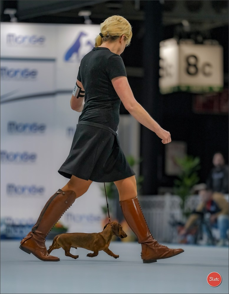 🇱🇺 LUXEMBOURG 🇱🇺 International Dog Show 4-5/04/2026. Photographe à Strasbourg | Portraits, Studio, Enfants, Événements