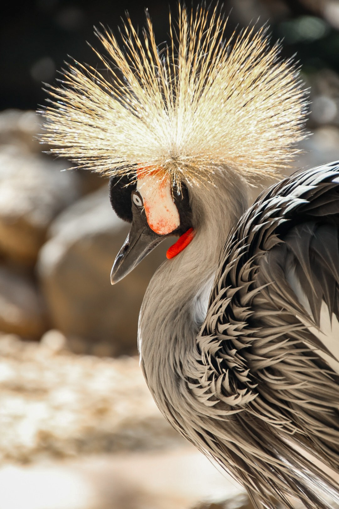 Gran Canaria 2024. Марина фотограф из Нюрнберга