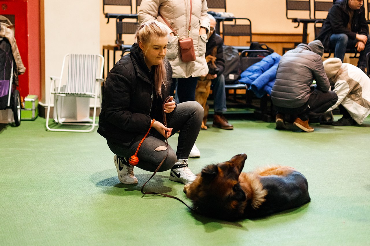 Grodno dog show. Kaja | fotograf we Wrocławiu | ludzie i psy