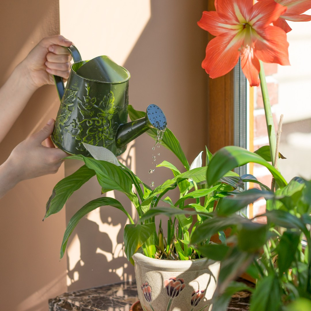 Frosch. Photographe de produits et natures mortes à Paris