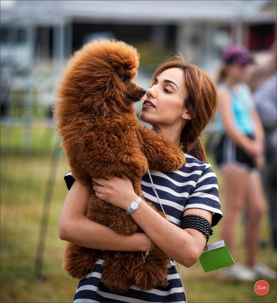 Photographie animalière. Photographe à Strasbourg | Portraits, Studio, Enfants, Événements