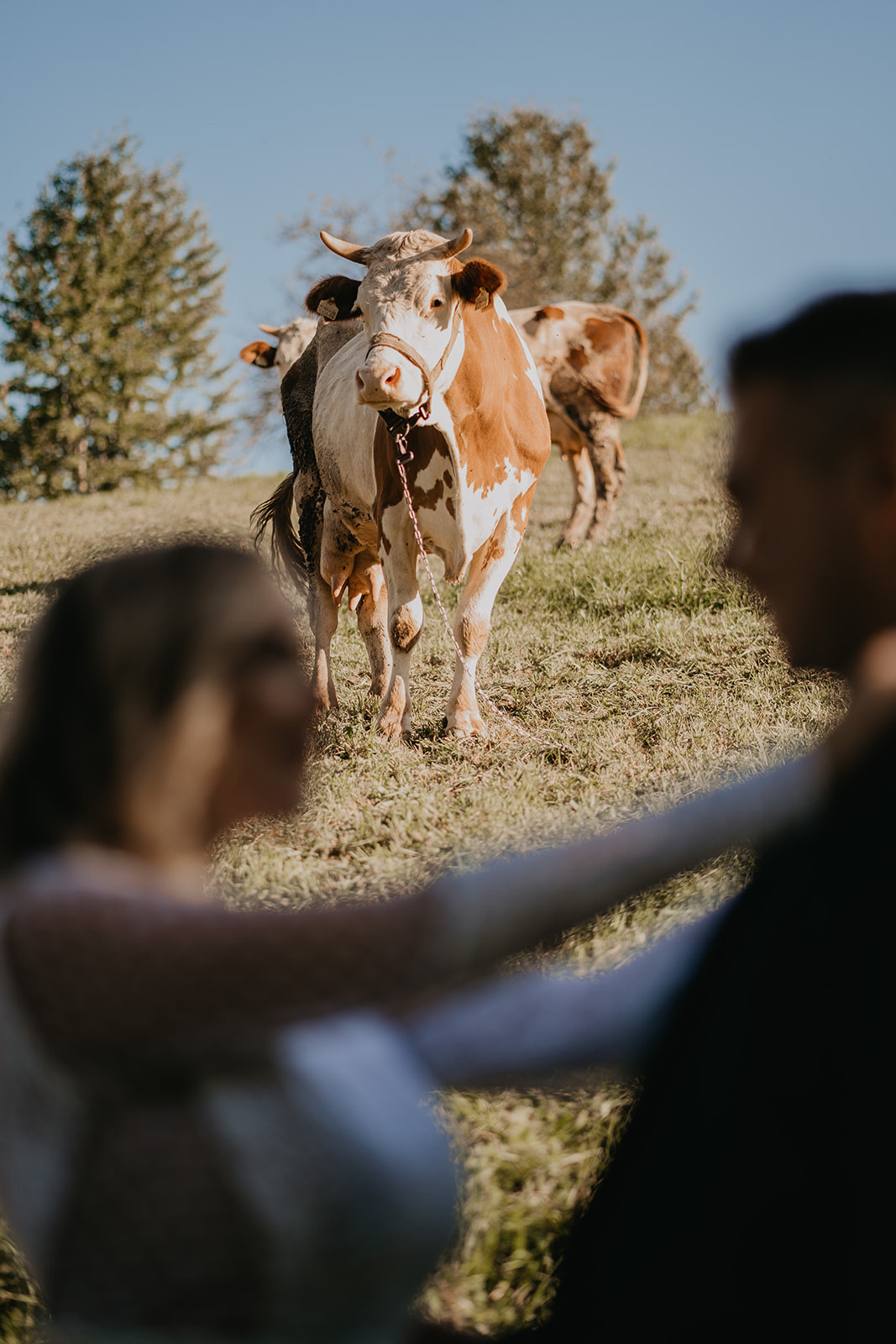 Aida + Nedim | Sarajevo. Profesionalna Fotografija i Videografija | Sarajevo | yasinemir.com