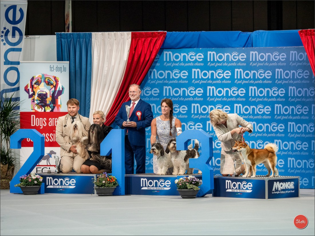 🇱🇺 LUXEMBOURG 🇱🇺 International Dog Show 🇱🇺 30/08 - 31/08/2025. Photographe à Strasbourg | Portraits, Studio, Enfants, Événements
