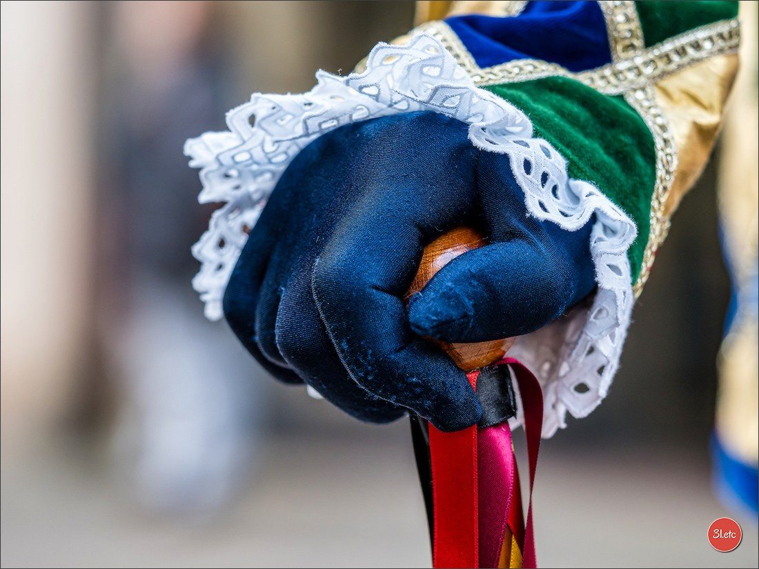 Carnaval venitien de Rosheim 2024. Photographe à Strasbourg | Portraits, Studio, Enfants, Événements