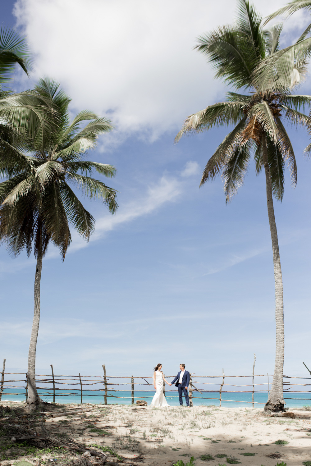 Between two huge palm trees the bride and groom on the background of a wooden fence by the sea.