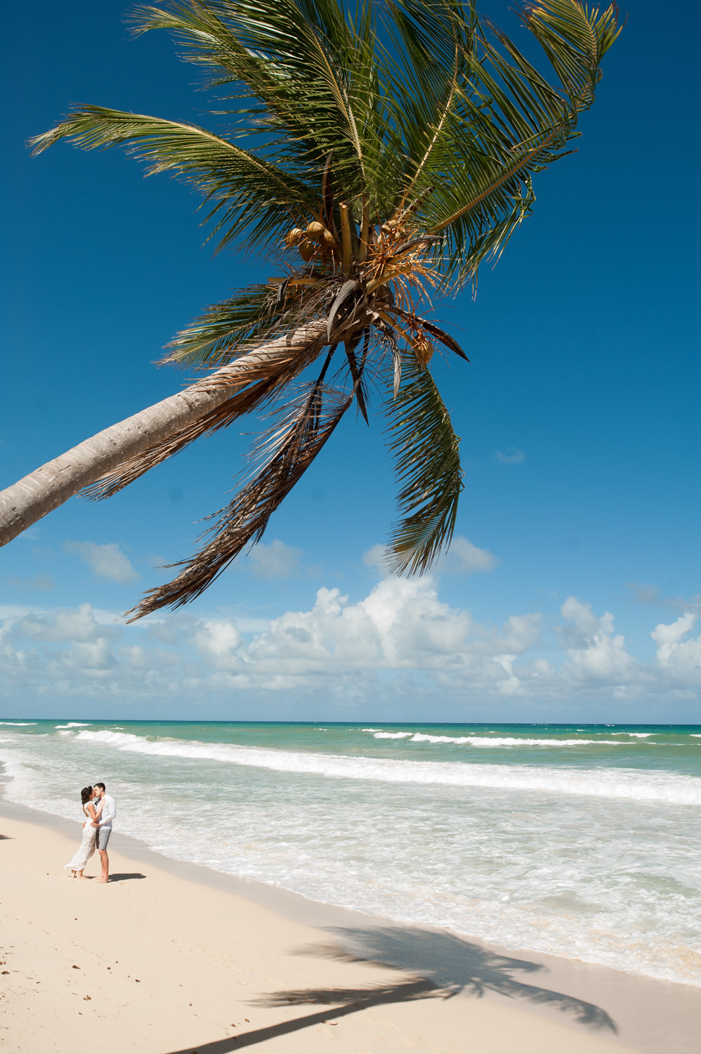 Silhouettes of the bride and groom on the beach with a tall palm tree on the background of the sea.