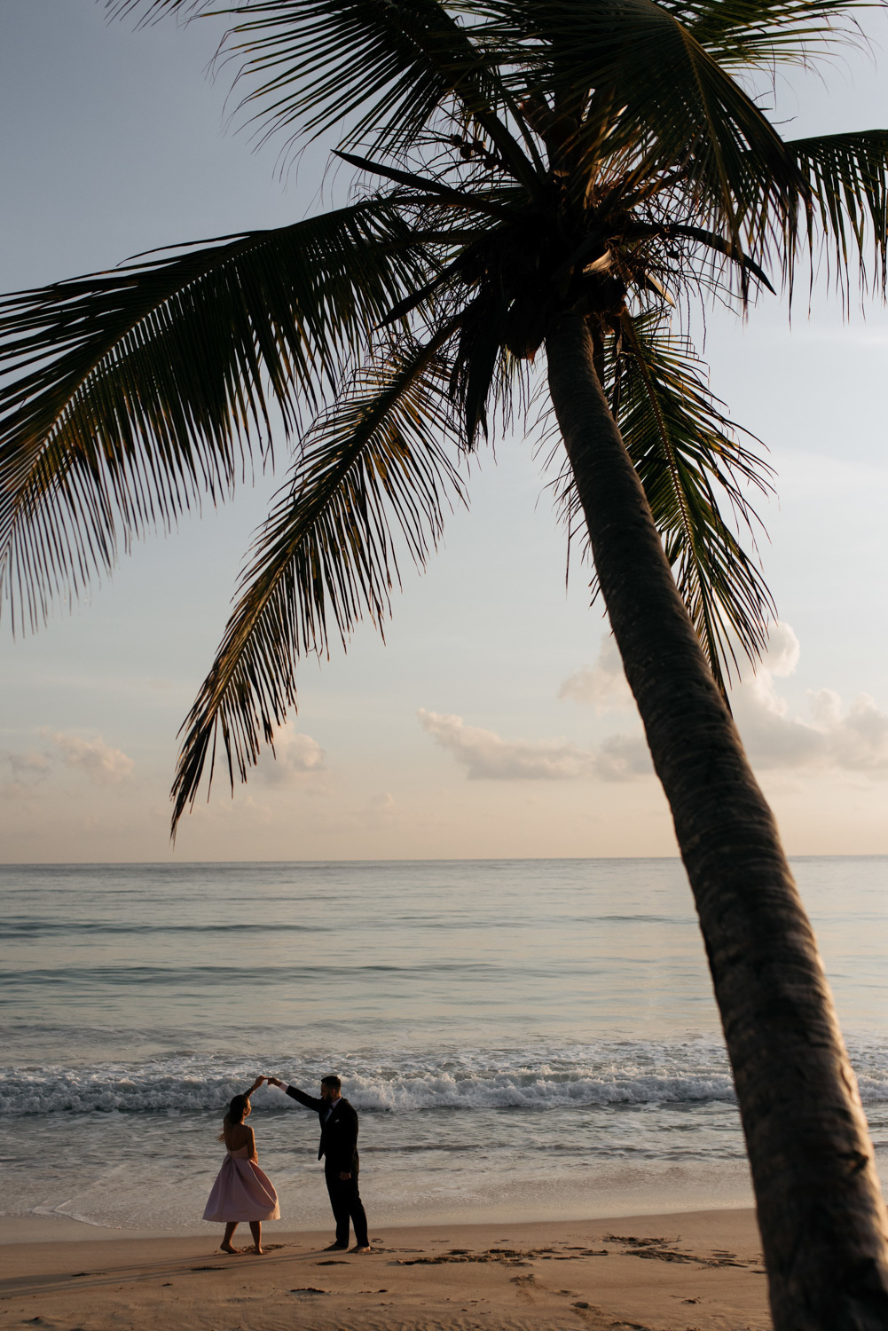 Bride and groom on the background of a tall palm tree and the sea.