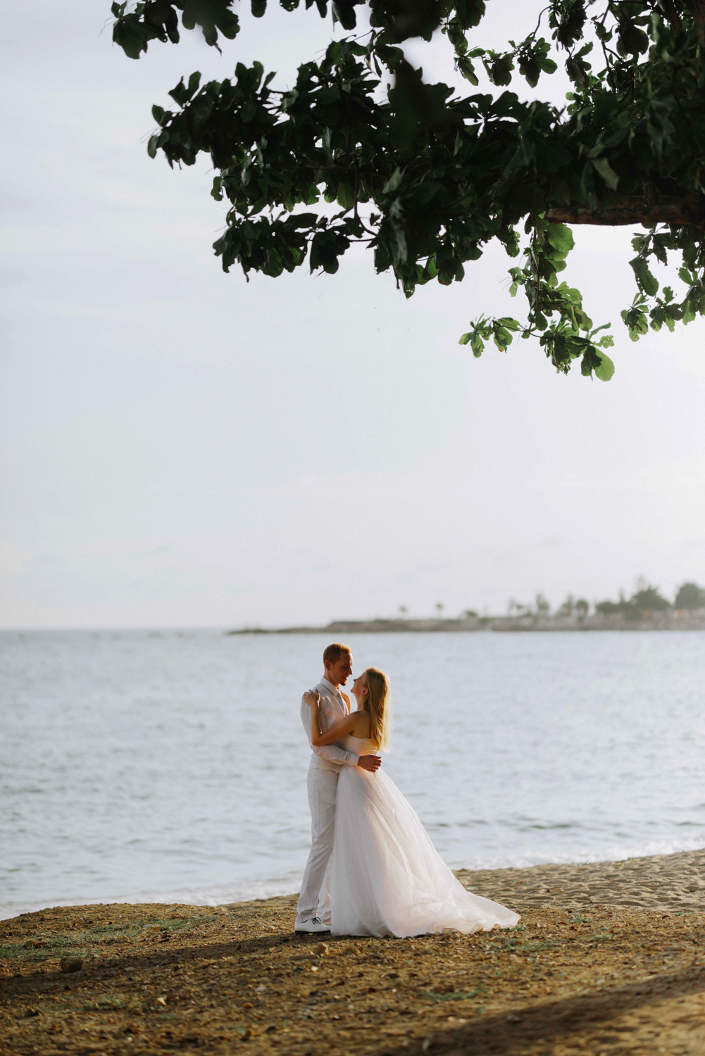 Жених и невеста, обнявшись, стоят под деревом на фоне моря.