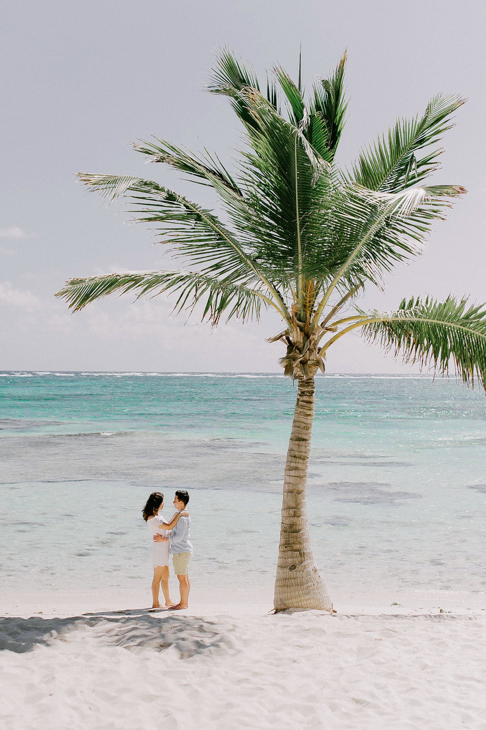 The bride and groom, embracing, look at each other at a tall palm tree on the background of the sea.