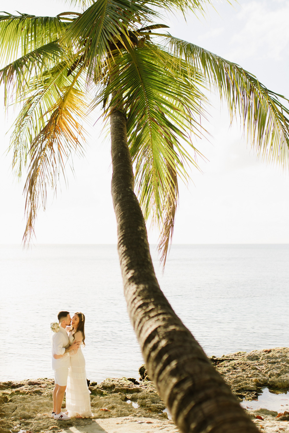 Bride and groom kissing under a tall palm tree on the background of the sea.