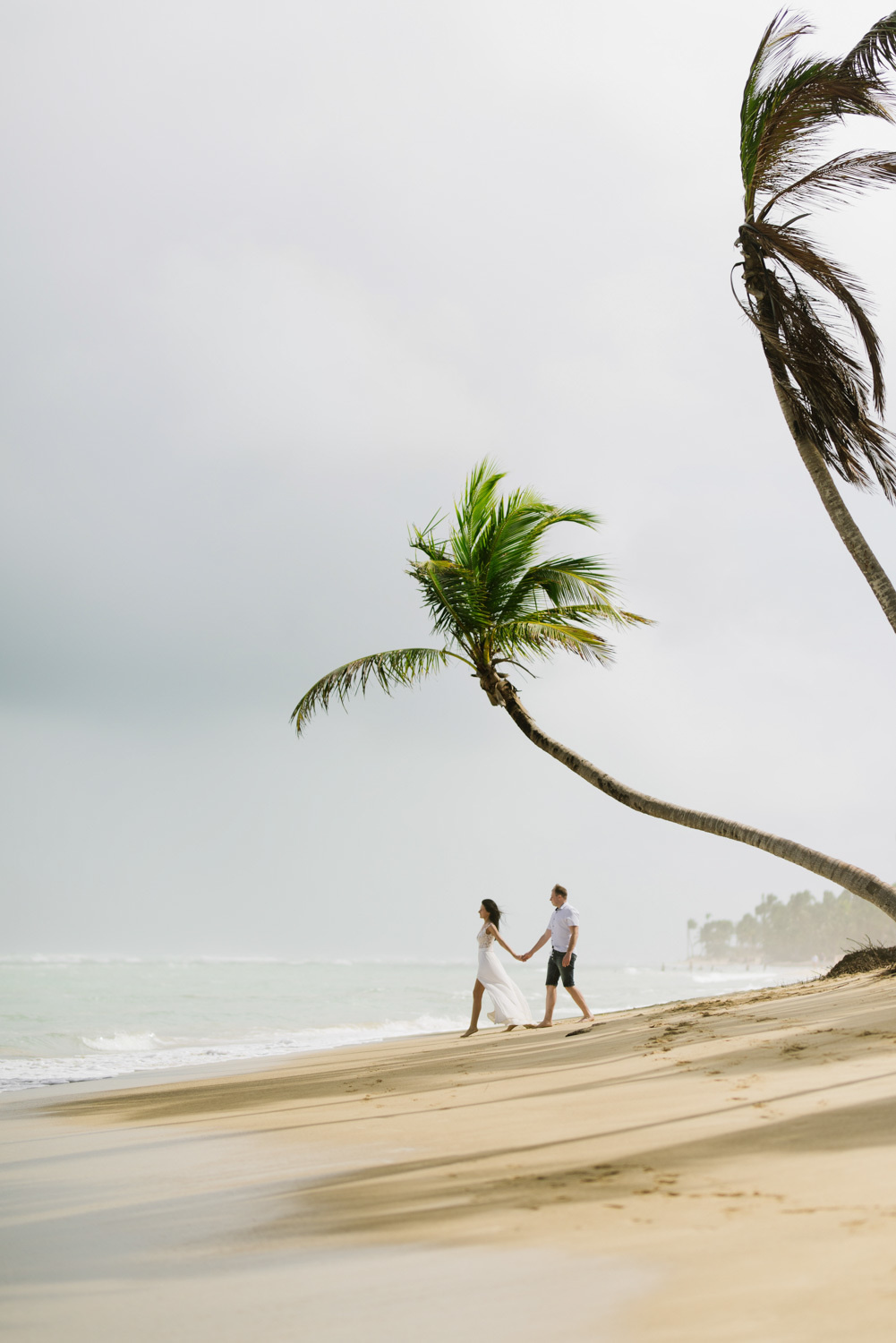 Silhouettes of the bride and groom by the sea on a sandy beach with a tilted palm tree.