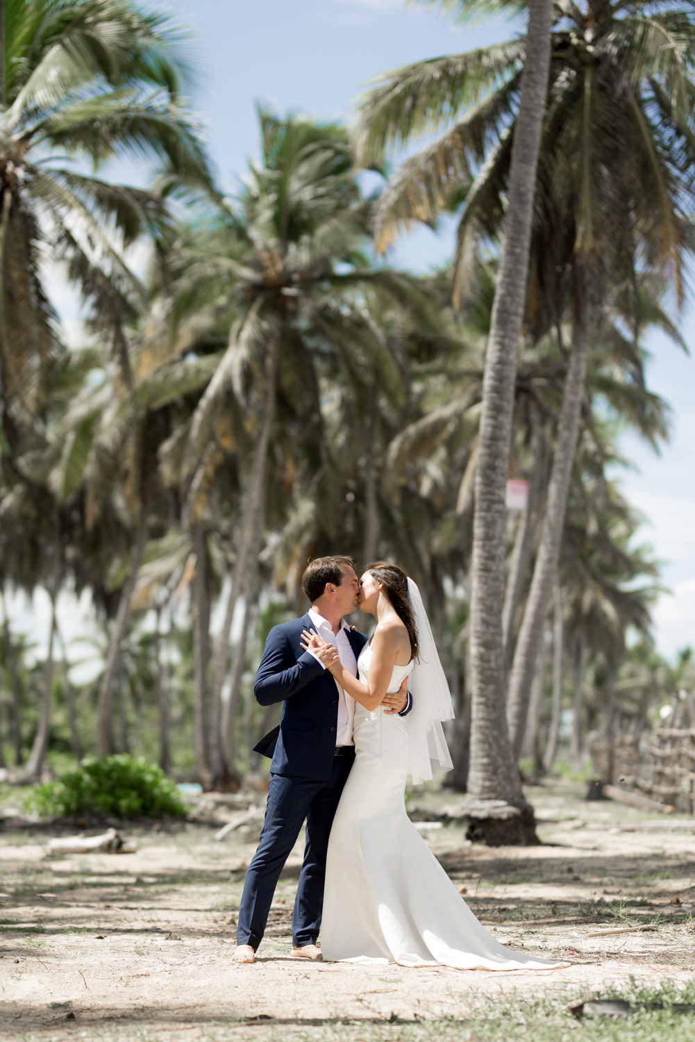 The bride and groom dance on the background of slender palm trees.