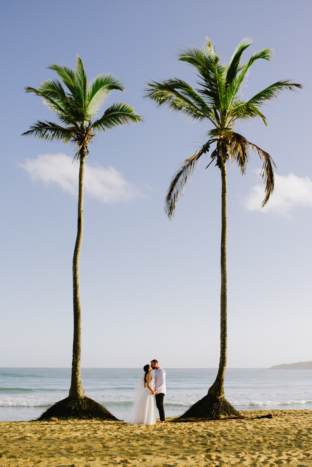 On the shore between two palm trees, the bride and groom hold hands against the background of the sea.