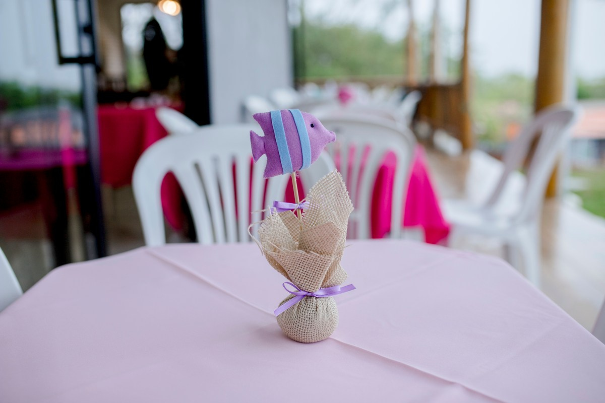 Izzie - 6º aniversário. Fotógrafa de Eventos em São Paulo e Sorocaba Kika Damasceno