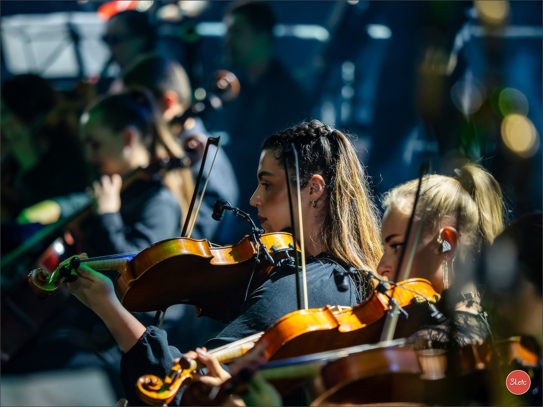 Electro Symphony. Photographe à Strasbourg | Portraits, Studio, Enfants, Événements
