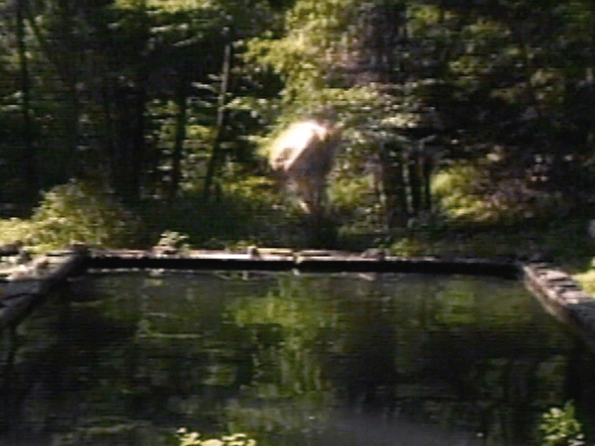 Bill Viola — The Reflecting Pool (1977–1979)