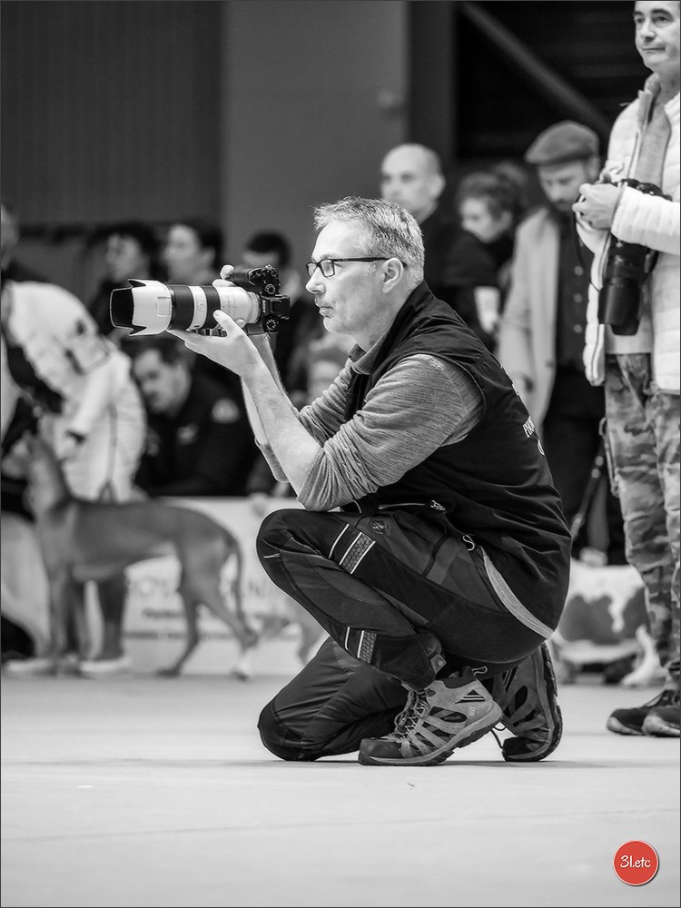 EXPOSITION CANINE NATIONALE ET INTERNATIONALE DE METZ (ACT LORRAINE) METZ (57) - 09 & 10/11/2024. Photographe à Strasbourg | Portraits, Studio, Enfants, Événements
