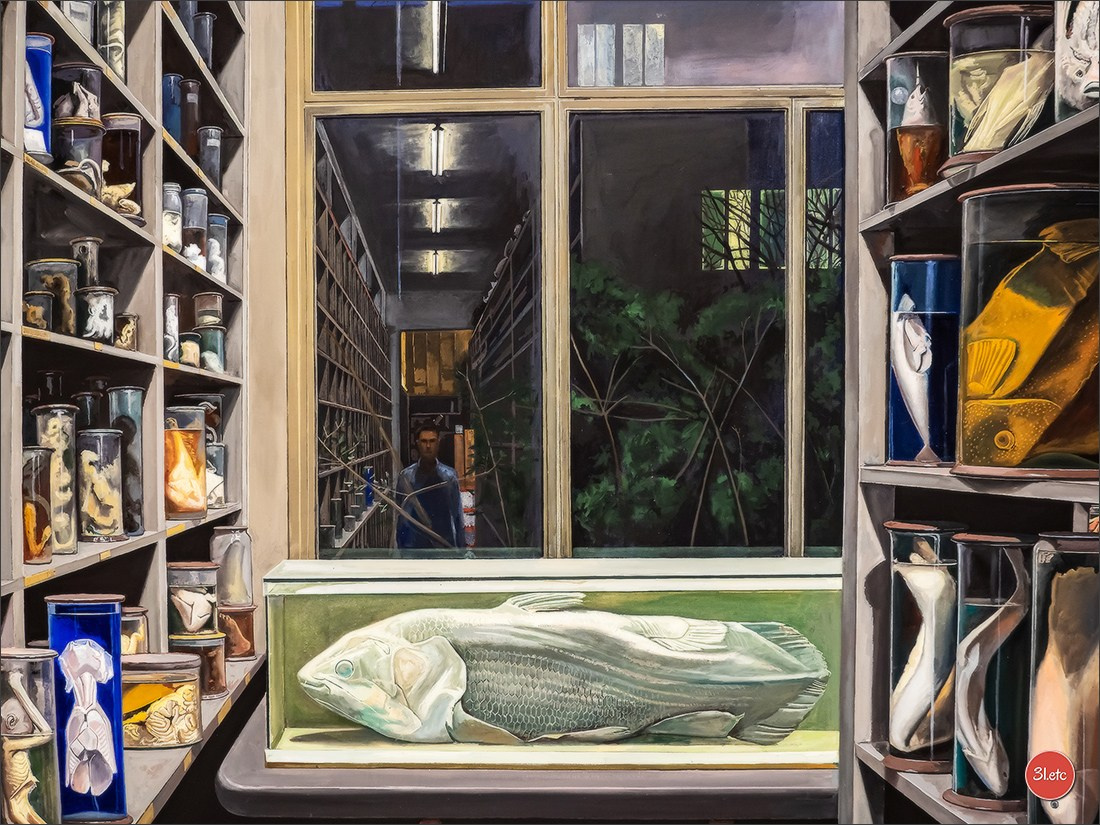 Musée d'Art Moderne et Contemporain de Strasbourg. Photographe à Strasbourg | Portraits, Studio, Enfants, Événements