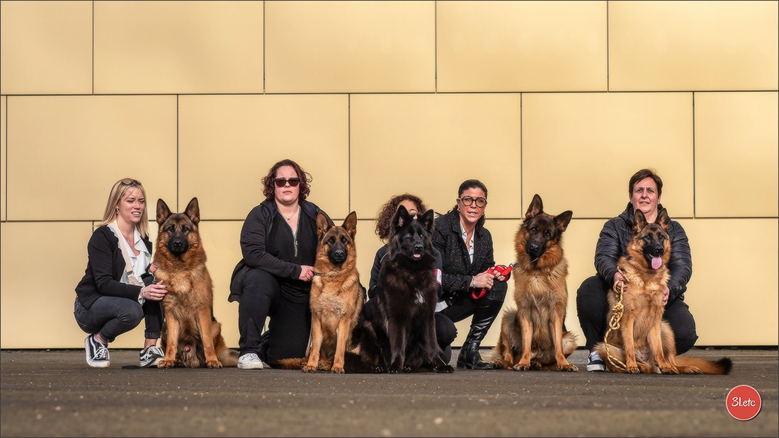 🇫🇷  Chalons en Champagne  🇫🇷  Expo canine  31/01-01/02/2026. Photographe à Strasbourg | Portraits, Studio, Enfants, Événements