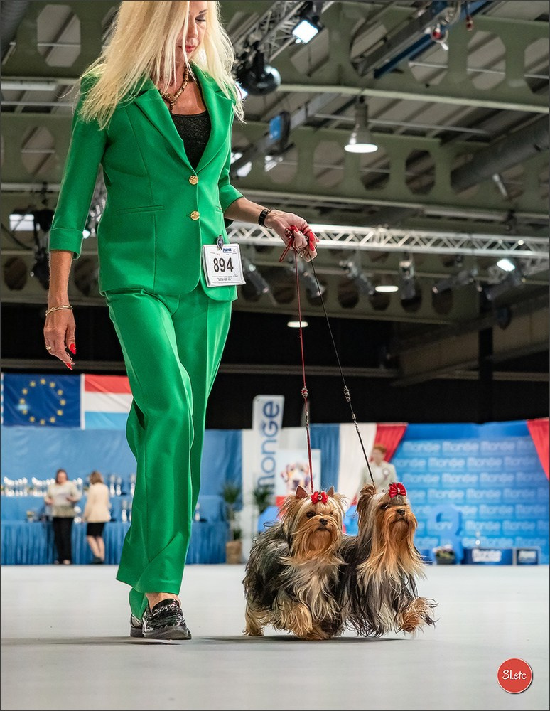 🇱🇺 LUXEMBOURG 🇱🇺 International Dog Show 🇱🇺 30/08 - 31/08/2025. Photographe à Strasbourg | Portraits, Studio, Enfants, Événements