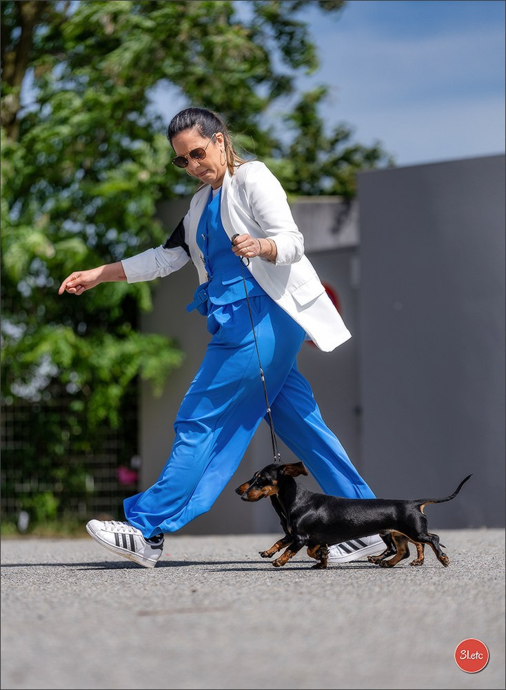 Expo canine 🇫🇷 Valence 02-03/05/2026
