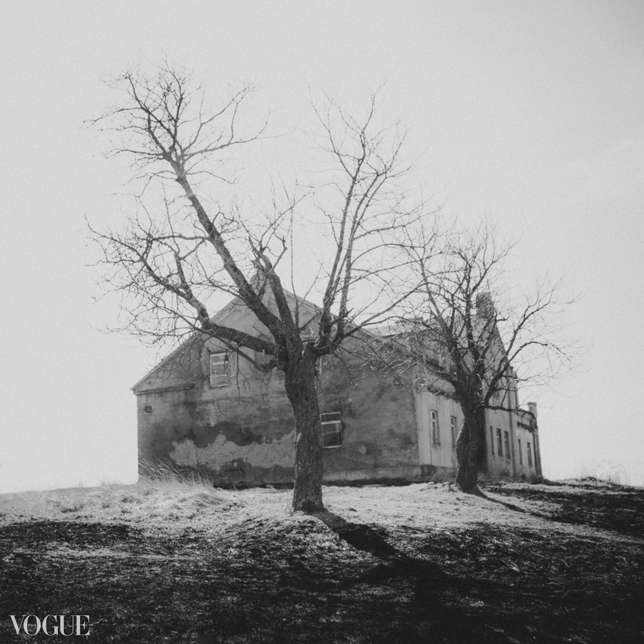 Portrait, fashion and art photography. Wedding and portrait photographer in Poland Vitali Frozen