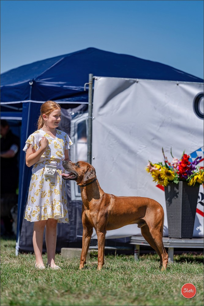 Dog Show - Hallbergmoos 🇩🇪 11-12/07/2026