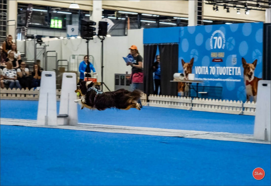 🇫🇮 WDS Helsinki 2025 🇫🇮. Photographe à Strasbourg | Portraits, Studio, Enfants, Événements