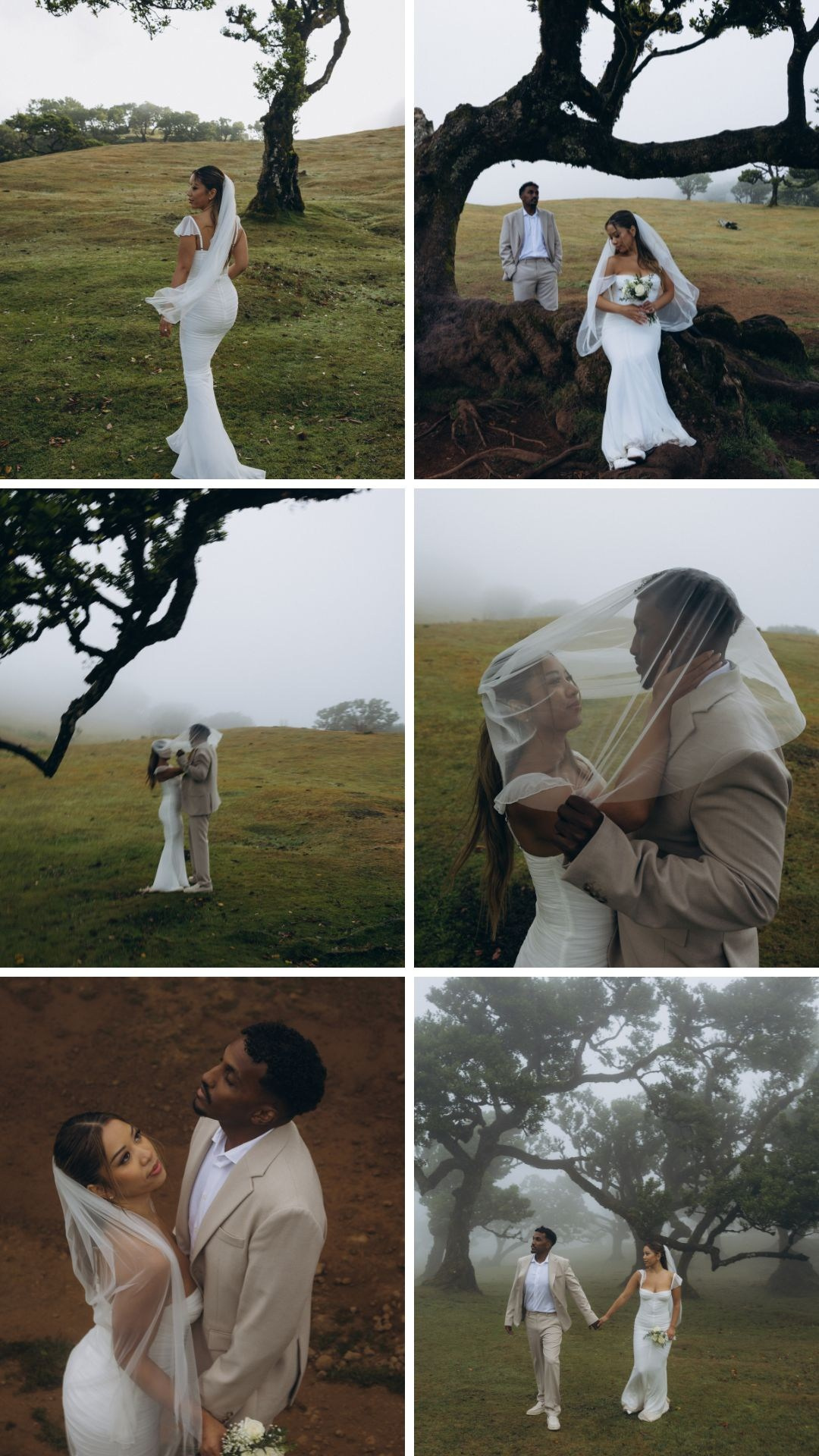 Cinematic honeymoon photography collage in Fanal Forest.