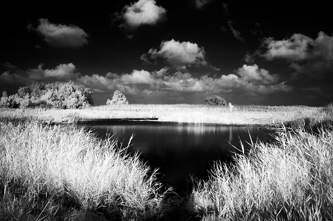 Отпечатки света. Фотограф в Израиле Максим Саяпин