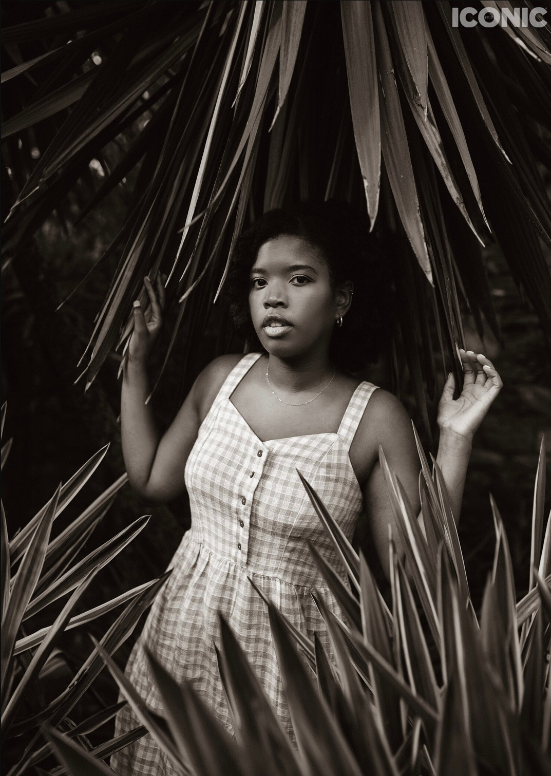 Iconic. Yorkshire Photographer