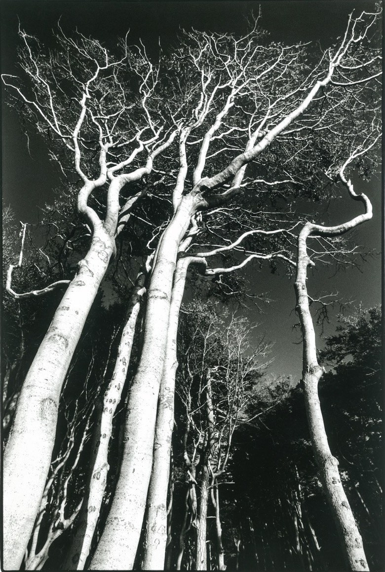 Sacra Natura. Katerina Kiper Photography