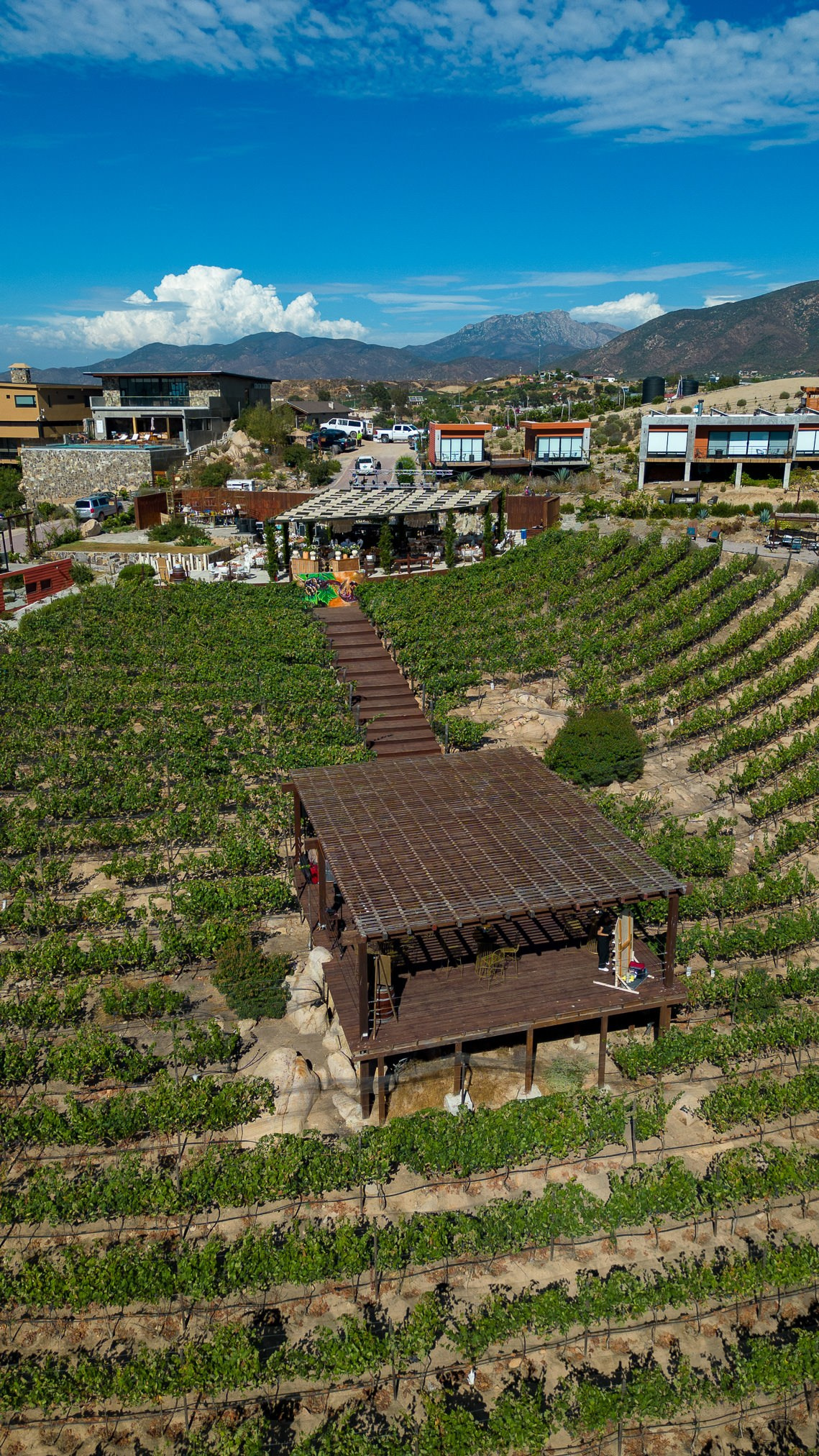 Valle de Guadalupe, Siempre Valle Boda Natalia y Carlos. Estudio de fotografia en Tijuana