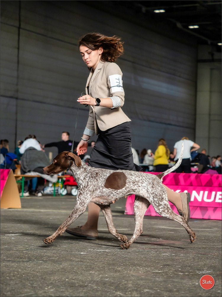 🇨🇭 Geneva Dog Show 15-17/11/2024. Photographe à Strasbourg | Portraits, Studio, Enfants, Événements